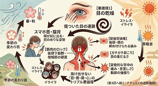 目の疲れ　肩こり　頭痛　緊張型頭痛　背中の痛み　息苦しさ